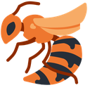 :fhornet: