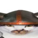 CatViking2