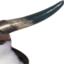 CatViking3