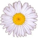 emoji_52 Discord Emoji - tanhai | Social • Events • Gws • Nitro • Dating
