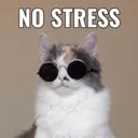 chillkitty