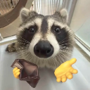 Raccoon with human hands held out in a begging gesture looking desperate.
