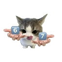 :cat_67: