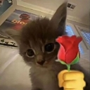 mylove Discord sticker - 𝐑𝐄𝐗  𝐂𝐨𝐦𝐦𝐮𝐧𝐢𝐭𝐲