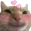 CC_Cat_LoveHappy custom emote from Systems and friends