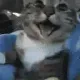 MEi_Boi_CAIn