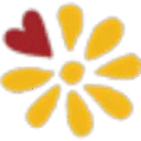 chicken_maison