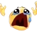 wahhh custom emote from 𝐀𝐜𝐢𝐝 𝐄𝐬𝐩𝐨𝐫𝐭𝐬