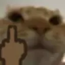 moggiFuck Discord sticker - 𝐀𝐜𝐢𝐝 𝐄𝐬𝐩𝐨𝐫𝐭𝐬