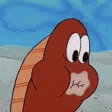 mhmm animated Discord emote - 𝐀𝐜𝐢𝐝 𝐄𝐬𝐩𝐨𝐫𝐭𝐬