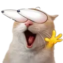 cawowt