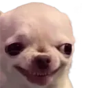 injam