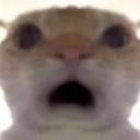 :zuhhh_power: