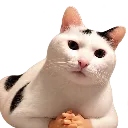 emoji_153