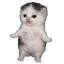 emoji_231