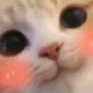 UWU