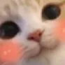 UWU