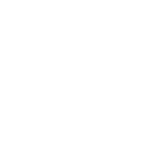 BoosterIcon
