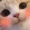 05_catblush