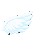 :13768angelwing: