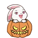 LuvbunPumpkin