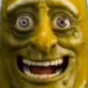 :WtfPickle: