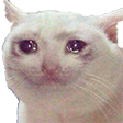 whyyy Discord Emoji | Dizzy GanG