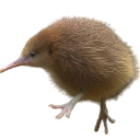 ball Discord emoji