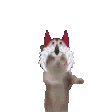 AlyoshaYIPPEECat Discord emoji