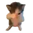 SCUBA