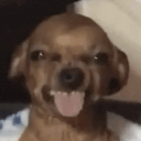 :hehehe: