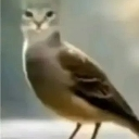 emoji_220 Discord emoji