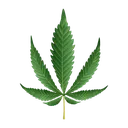WEEEED