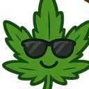 COOLWEED