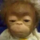 x_unsuprisedmonkey
