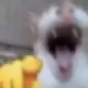 Cat with mouth wide open pointing a cartoon hand directly forward.