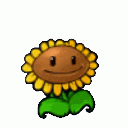 Sunflower with a smiling face and green leaves.