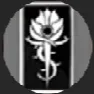 Normal_Aculeus