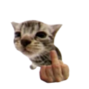 fu custom emote | /sleepy