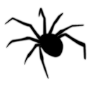 black_spider