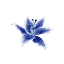 841708blueflower