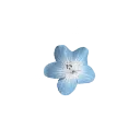 896380blueflower