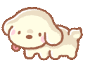 A small cream-colored puppy spinning in circles with a happy expression.