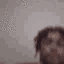 bbc animated GIF emoji | Spent