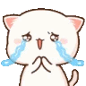 catg6 animated Discord emote from 𝓢𝓮𝓻𝓮𝓷𝓭𝓲𝓹𝓲𝓽𝔂 🖤⃝🤍