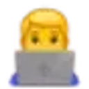 developer