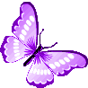 Arziyaan_butterfly