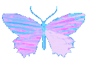 1luvv_butterfly_blue