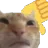 tsu_dity_hate