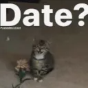 A small tabby cat holding a flower with the word Date written above it.